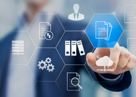  IT,folyamatszervező,relációs adatbázisok,ERP rendszer